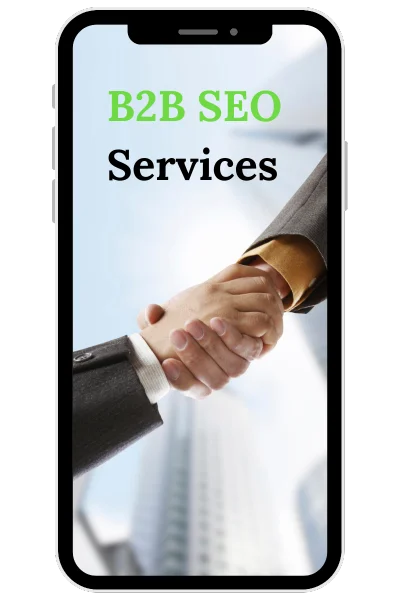 SEO B2B Services