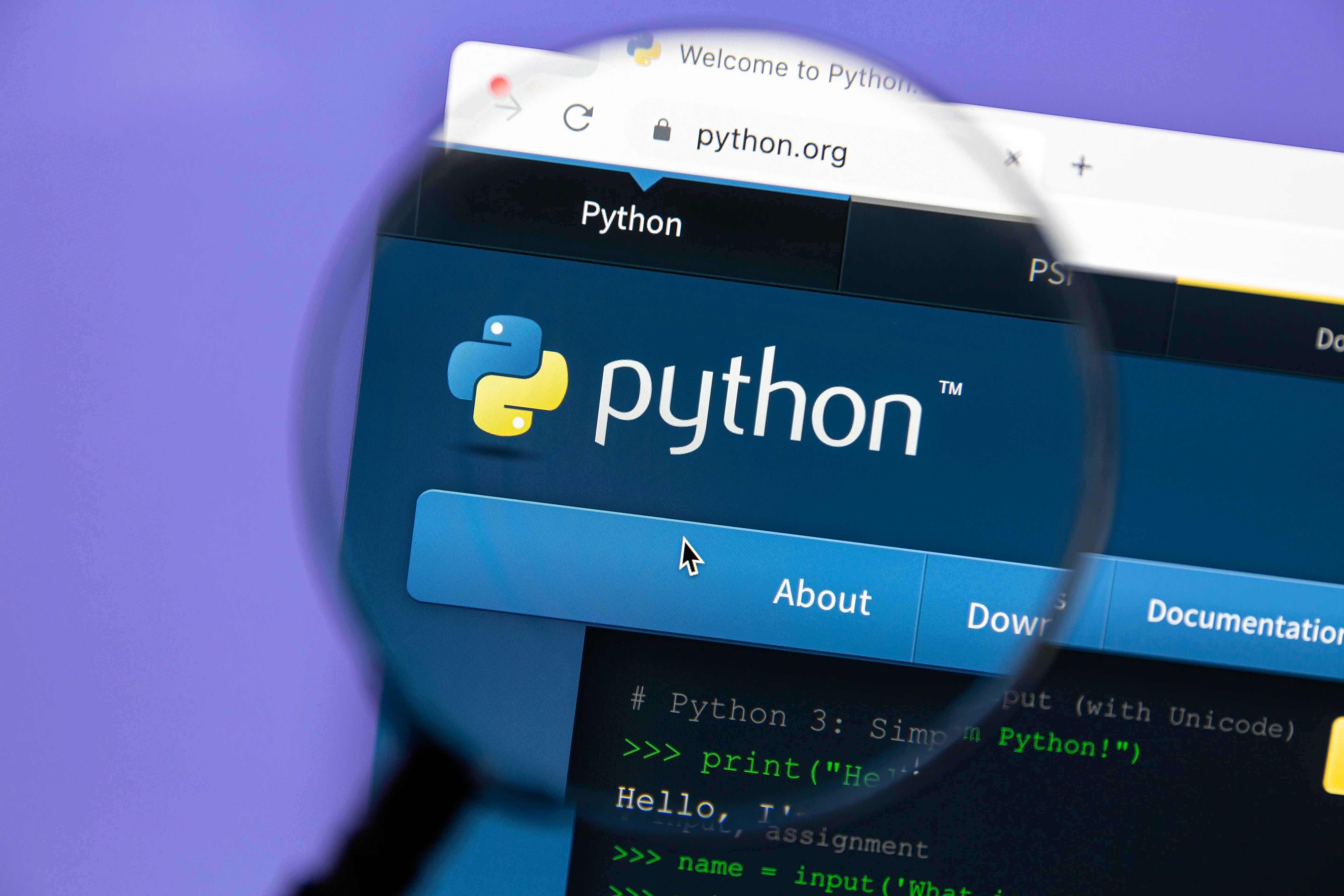 SEO Python Development Agency